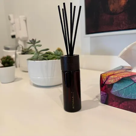 Neue Stilvolle 2-zimmer Im Zentrum Von Apartment *